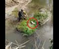 Πέταξε δύο κουτάβια ζωντανά στον ποταμό Σελινούντα στα Κρέστενα Ηλείας (βίντεο)