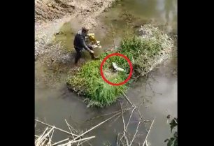 Πέταξε δύο κουτάβια ζωντανά στον ποταμό Σελινούντα στα Κρέστενα Ηλείας (βίντεο)