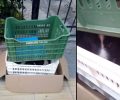 Έκκληση για 4 κουτάβια που βρέθηκαν εγκαταλελειμμένα μέσα σε καφάσι κοντά στην Πεντάβρυσο Κοζάνης