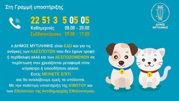 Με «ΘΑ» απαντάει ο Δήμος Μυτιλήνης στις κατηγορίες για αδιαφορία διαχείρισης των αδέσποτων