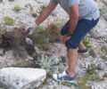Αρκουδάκι νεκρό, κομμένο στη μέση βρέθηκε κοντά στην Καστοριά