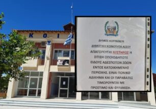 Με απειλές και ψέμματα ο Δήμος Κορινθίων στον Άσσο απαγορεύει τη σίτιση αδέσποτων