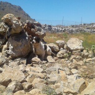 AvlonasKarpathouSkyliaIounios 1