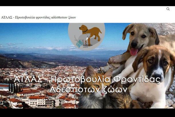 O Δήμος Νάουσας μας καλεί να βοηθήσουμε και να υιοθετήσουμε αδέσποτα