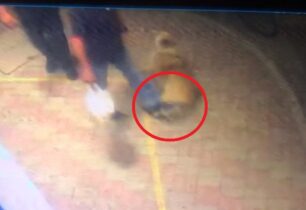 Κάμερα κατέγραψε άνδρα που κλώτσησε σκύλο ο οποίος ήταν ξαπλωμένος στην Κομοτηνή Ροδόπης (βίντεο)