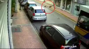 Οδηγός λεωφορείου χτυπάει, εγκαταλείπει και σκοτώνει γάτα στο Περιστέρι Αττικής (βίντεο)