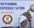 Πρόγραμμα στειρώσεων για αδέσποτες γάτες από τον Δήμο Αιγάλεω