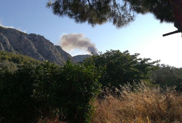 Έκκληση για μεταφορά ζώων απ’ τον οικισμό της Αγίας Παρασκευής Κορινθίας ώστε να μην κινδυνέψουν απ’ τις φλόγες