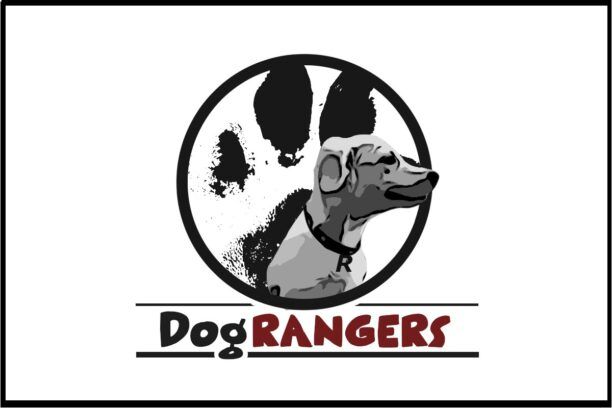 Αν βρεις οικόσιτο σκύλο που κακοποιείται ενημέρωσε την Ομάδα Προστασίας Δεσποζόμενων Σκύλων «Dog Rangers Athens» (βίντεο)