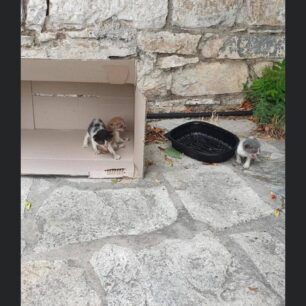 GatakiNeaIoniaVolou13 7 20201