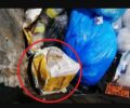 Μέγαρα Αττικής: Βρήκε 3 γατάκια ζωντανά μέσα σε τσουβάλι πεταμένα στον κάδο (βίντεο)