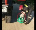 Βρήκε σκύλο ζωντανό μέσα σε πλαστική σακούλα πεταμένο στο Καρβουνάρι Θεσπρωτίας (βίντεο)