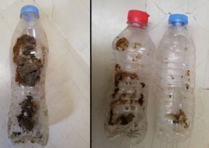 Ηράκλειο Κρήτης: Βρήκε δηλητηριασμένα ζώα και φόλες μέσα πλαστικά μπουκάλια στην Κεραία Λαγού