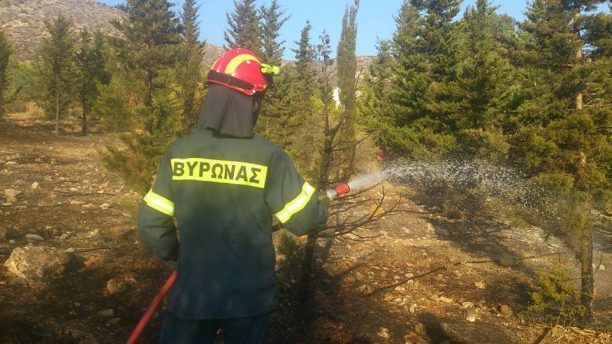 Γλύτωσαν τα σκυλιά από τις φλόγες μετά την πυρκαγιά στον Βύρωνα Αττικής - Έκκληση για φιλοξενίες