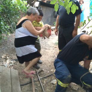 VoniIrakleiouKoutaviPyrosvestes3 7 2020 18