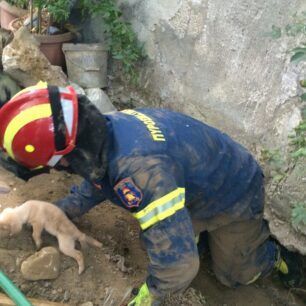 VoniIrakleiouKoutaviPyrosvestes3 7 2020 19