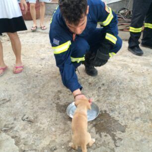 VoniIrakleiouKoutaviPyrosvestes3 7 2020 2