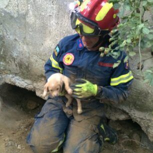 VoniIrakleiouKoutaviPyrosvestes3 7 2020 21