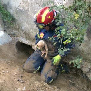 VoniIrakleiouKoutaviPyrosvestes3 7 2020 23