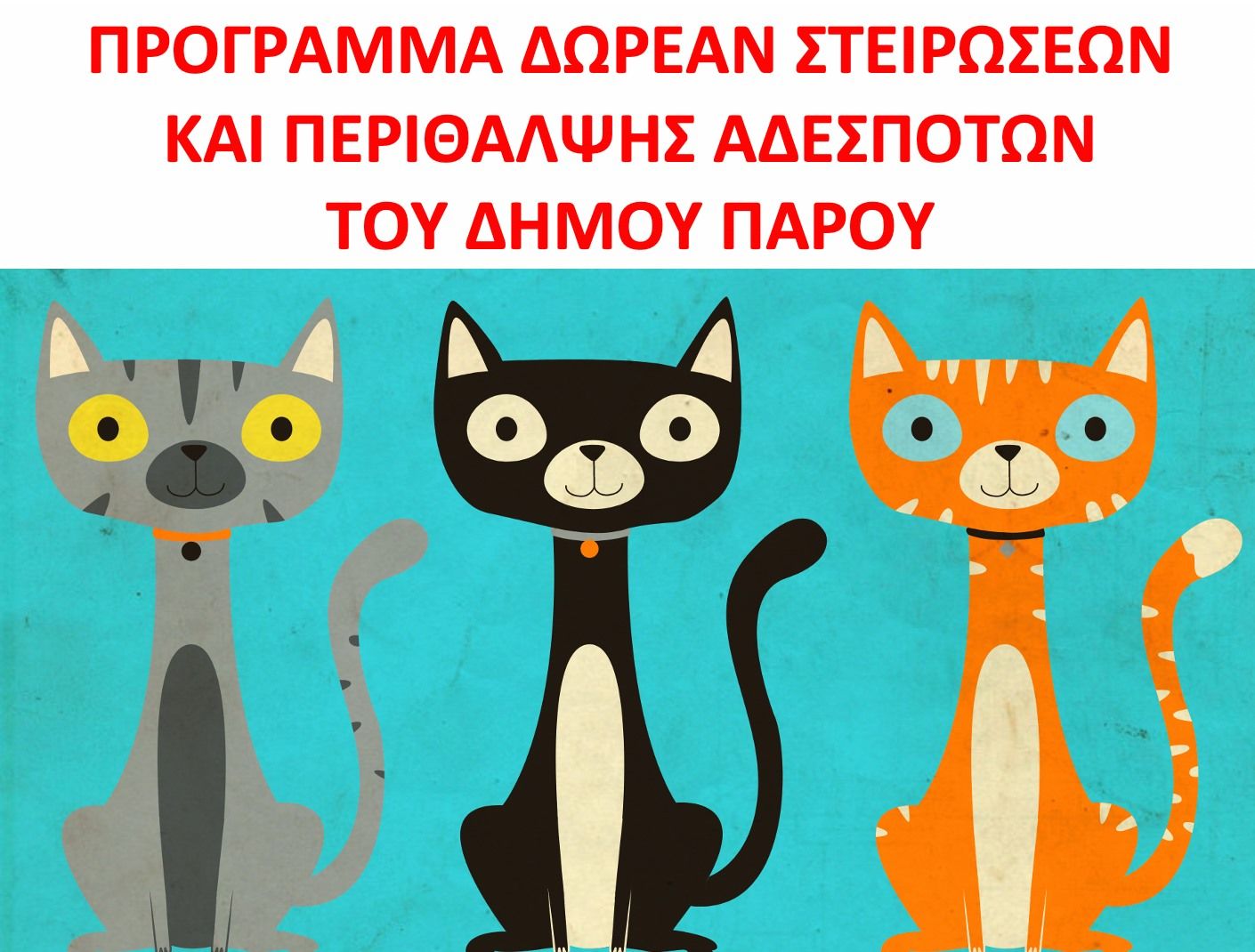To πρόγραμμα στείρωσης αδέσποτων γατιών από τον Δήμο Πάρου άρχισε 1 AfisaParosSteiroseis