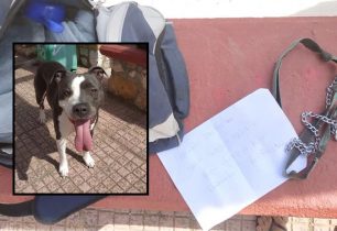 Αγία Παρασκευή Αττικής: Εγκατέλειψαν τον σκύλο και άφησαν σημείωμα ότι φεύγουν στο εξωτερικό