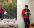 Τουρίστες βρήκαν 6 κουτάβια κλεισμένα σε τσουβάλι πεταμένα κοντά στην Αρίστη Ιωαννίνων (βίντεο)