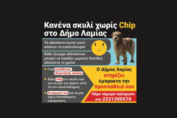 Δωρεάν στείρωση οικόσιτων σκυλιών για ευπαθείς κοινωνικές ομάδες και άλλες δράσεις για τ’ αδέσποτα από τον Δήμο Λαμιέων