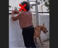 Η Δ.Ε.Η. θα θέσει σε διαθεσιμότητα υπάλληλο της που βασάνισε τον σκύλο του στα Κουνουπιδιανά Χανίων (βίντεο);