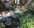 Σε άθλιες συνθήκες μέσα σε όγκους σκουπιδιών ζούσε ηλικιωμένος άνδρας και πολλά σκυλιά στο Άργος Αργολίδας