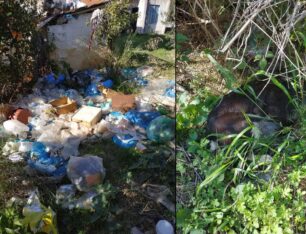 Σε άθλιες συνθήκες μέσα σε όγκους σκουπιδιών ζούσε ηλικιωμένος άνδρας και πολλά σκυλιά στο Άργος Αργολίδας