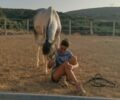 Φροντίζει τον όμορφο Πάρη το νεαρό άλογο που κακοποιούσε ο ιδιοκτήτης του στη Φαιστό Ηρακλείου Κρήτης