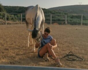 Φροντίζει τον όμορφο Πάρη το νεαρό άλογο που κακοποιούσε ο ιδιοκτήτης του στη Φαιστό Ηρακλείου Κρήτης