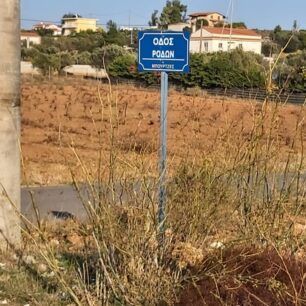 Πέταξαν τον νεκρό σκύλο τους στον κάδο, ούτε λόγος για ταφή 6 KerateaKadosSkylosNekros16 11 2020 1