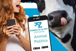 Συμμετοχή και ενημέρωση απ'το κινητό παρέχει η πολιτική οργάνωση «Κόμμα για τα Ζώα»