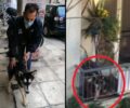 Αθήνα: Οριστική κατάσχεση του σκύλου που ο ιδιοκτήτης του τον έδερνε διαρκώς