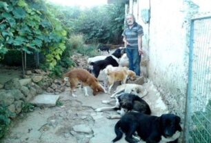 Έκκληση για ζωοτροφές για τις γάτες και τα σκυλιά που φροντίζει άπορος στις Φιλιάτες Θεσπρωτίας