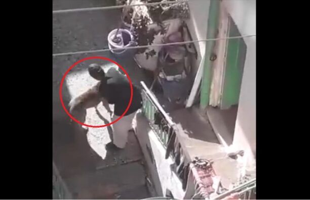 Ηράκλειο Κρήτης: Κατήγγειλαν την ηλικιωμένη που χτυπάει τον σκύλο της (βίντεο)