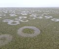 Η υδρόβια βλάστηση η αιτία που δημιούργησε τους κύκλους από νερό στον πυθμένα της λίμνης Κερκίνης