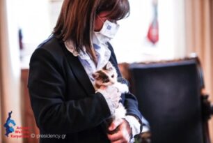 H πρόεδρος της Δημοκρατίας υιοθέτησε ένα αδέσποτο γατάκι από την Κάρπαθο