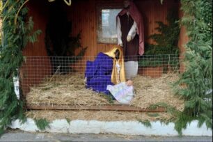 Σιδηρόκαστρο Σερρών: Ο δήμος έβαλε συρματόπλεγμα στη φάτνη για να μην κοιμούνται στα άχυρα τα αδέσποτα