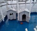 Απαράδεκτες σκυλιέρες στο πλοίο «Πρωτεύς» της ΑΝΕΣ ferries
