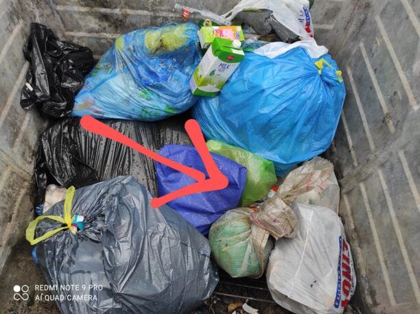 Αμαλιάδα Ηλείας: Έξι κουταβάκια νεκρά μέσα σε σακούλα πεταμένα σε κάδο σκουπιδιών (βίντεο)