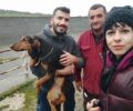 Ήλιδα Ηλείας: Έσωσαν σκύλο που κάποιος πέταξε στο φράγμα Πηνειού για να τον σκοτώσει (βίντεο)