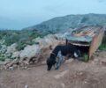 Κάρπαθος: Σκύλος αλυσοδεμένος χωρίς τροφή και νερό στην Αυλώνα
