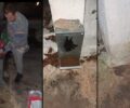 Σάμος: Έκλεψε τη μοναδική ταΐστρα για τα αδέσποτα του ακατοίκητου χωριού Τσουρλαίοι