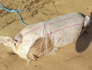 Βρήκε το πτώμα σκύλου μέσα σε τσουβάλι σε παραλία της Αμαλιάδας Ηλείας