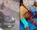 Κάμερα ασφαλείας κατέγραψε τον άνδρα που δολοφόνησε σκύλο με τόξο στην Πετρούπολη Αττικής (βίντεο)