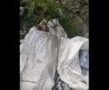 Μολάοι Λακωνίας: Μέσα σε τσουβάλι νεκρά και ζωντανά κουτάβια μαζί με κόκκαλα και δέρματα ζώων (βίντεο)