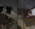 Δολοφόνησε με φόλες τρία σκυλιά στην Πορταριά Χαλκιδικής (βίντεο)
