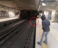 Αθήνα: Έσωσαν 7 γάτες που ζούσαν στις γραμμές του τρένου σε σταθμούς του Η.Σ.Α.Π. (βίντεο)